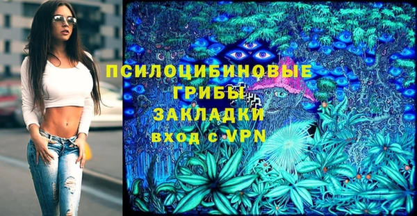 герыч Снежногорск