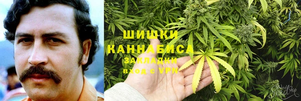 соль ск Алзамай